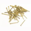 Brass Rivets 100grms