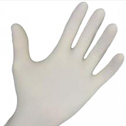 Latex Gloves Powderd