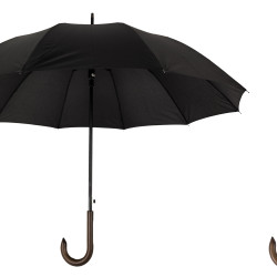 Wooden Handle Walking Umbrella Moon
